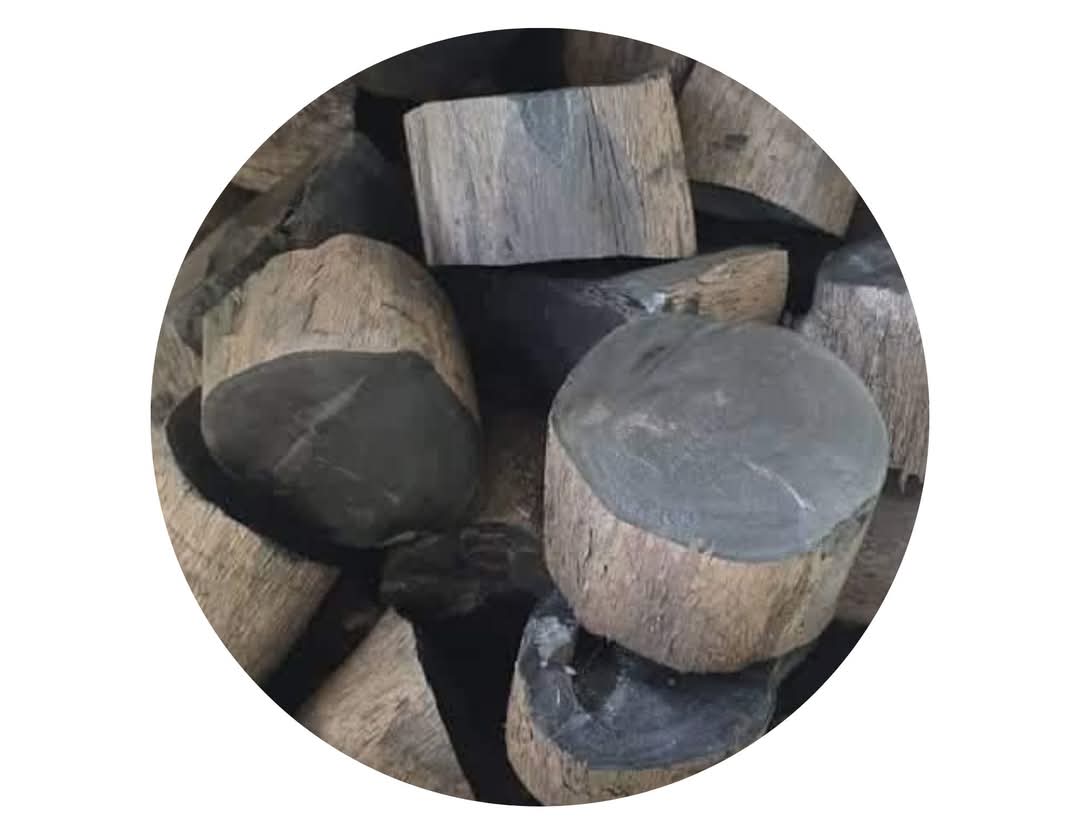 Wood Coal