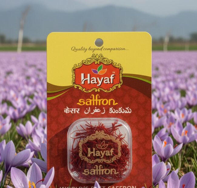 WhatsApp Image 2025-11-26 at 2.29.12 PM (1)