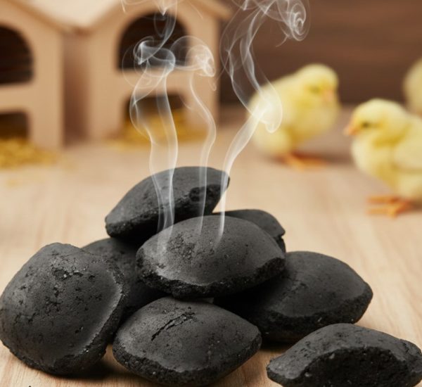Coconut Shell Charcoal for Poultry Use (1)